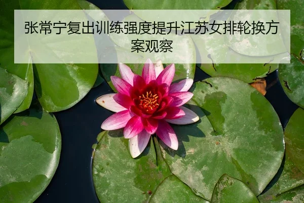 张常宁复出训练强度提升江苏女排轮换方案观察